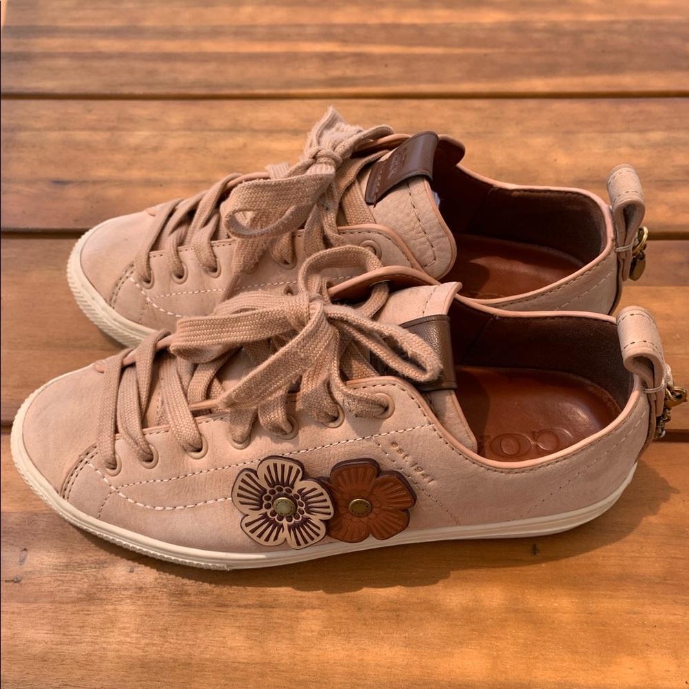 Customized Coach C121